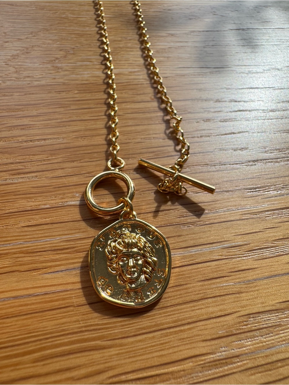 Gold Medallion Toggle Necklace - Picture 2 of 4